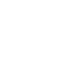 blockchains logo